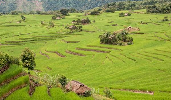 Diffusion du documentaire "Himalaya, entre Bhoutan et Myanmar" par Alain Wodey - Mardi 9 décembre à 14h 
